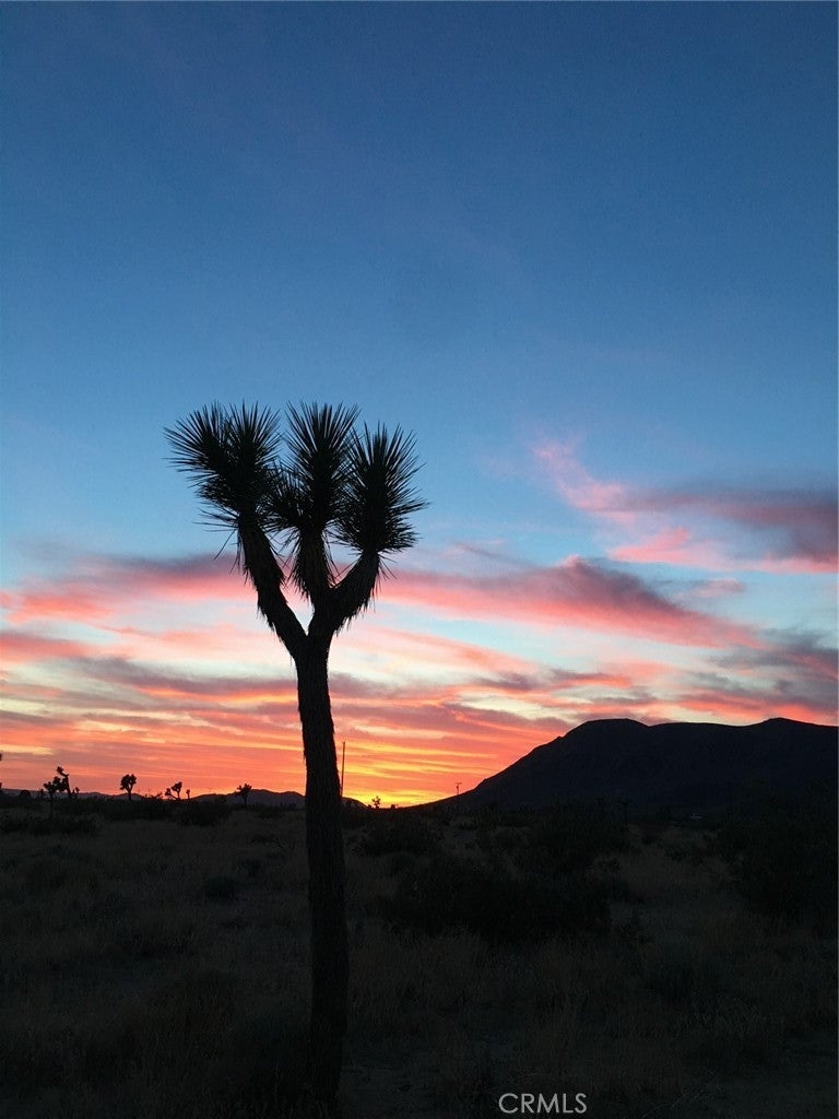 Photo of Listing #JT25163202