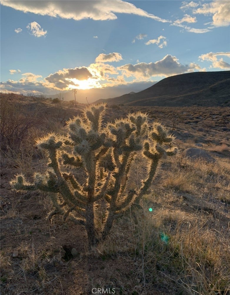 E Drive, Pioneertown