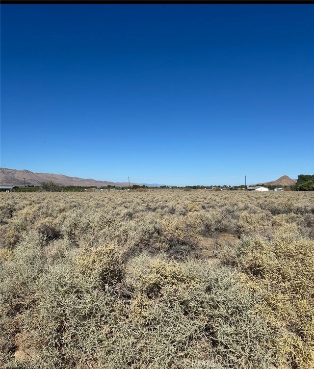 Mesquite Springs, 29 Palms
