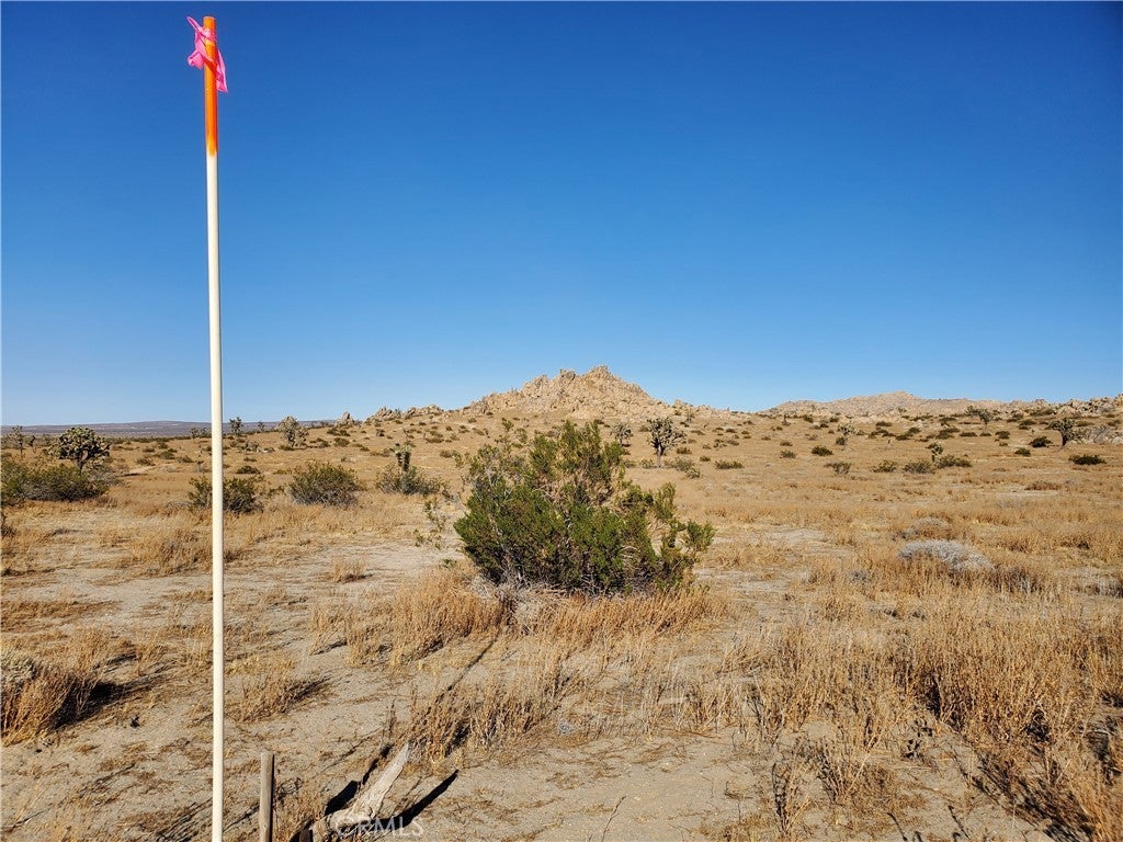 Photo of Listing #HD25165650