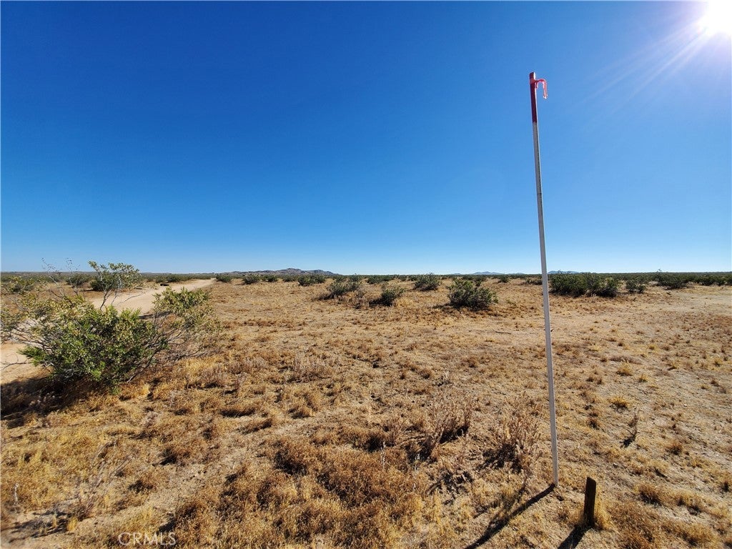 Photo of Listing #HD25165662