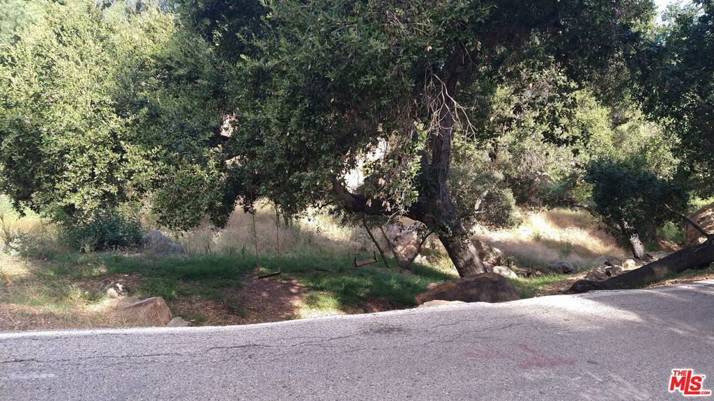 Photo of Listing #25568951