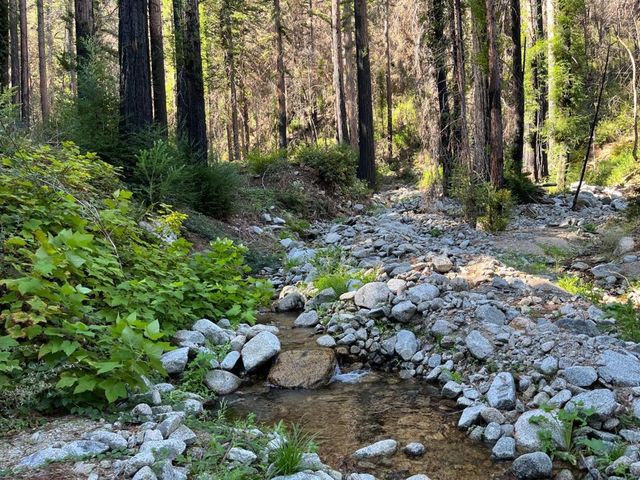 Boulder Brook Drive, Boulder Creek