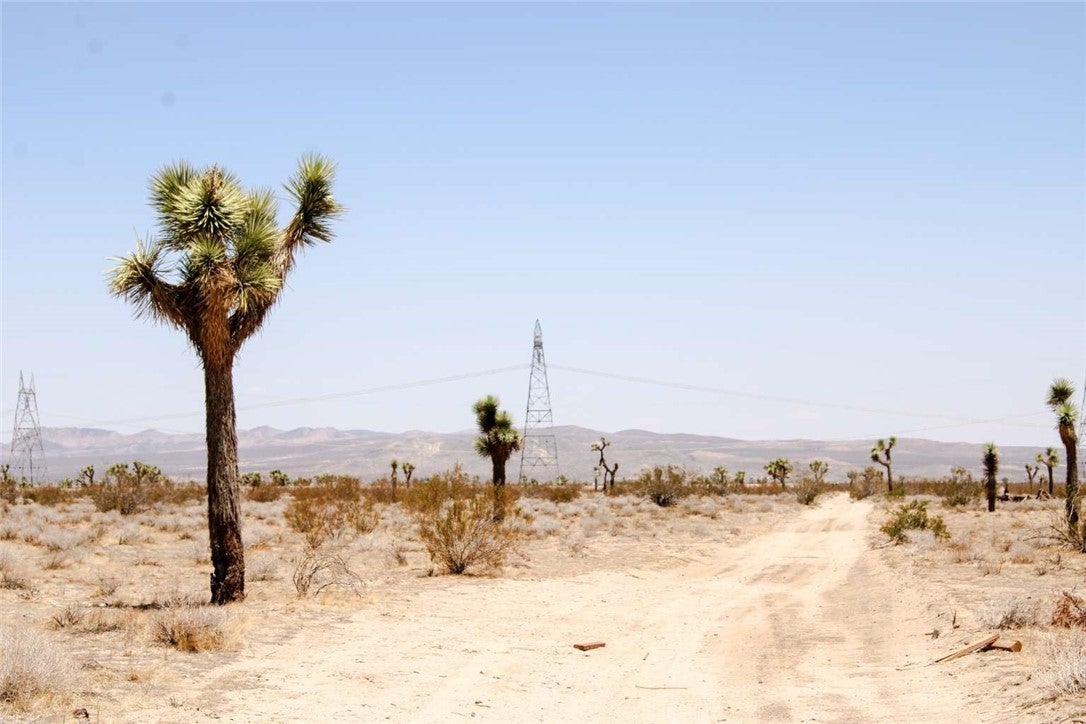 Photo of Listing #FR25166911