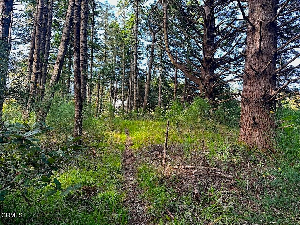 Photo of Listing #C1-11097