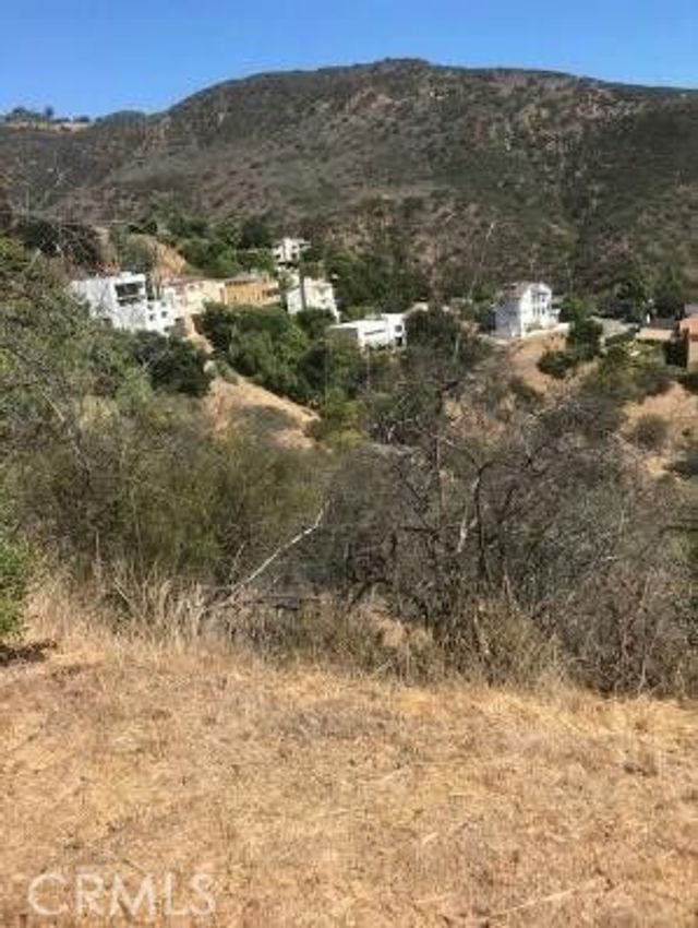 1 Latigo Cyn & Ocean View, Malibu
