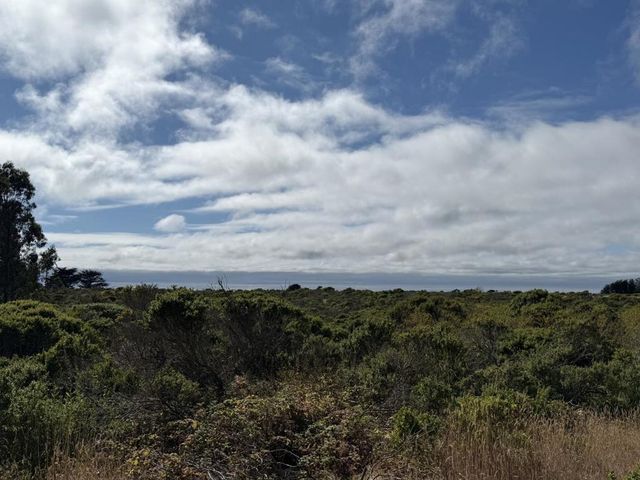 Bonita Ave., Half Moon Bay