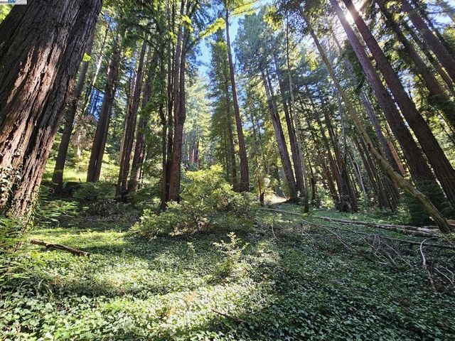 Lot26 Old La Honda Rd, Woodside