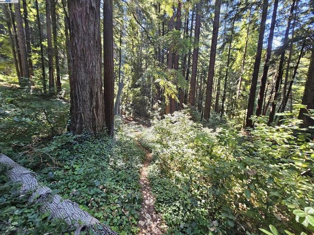 Lot27 Old La Honda Rd, Woodside