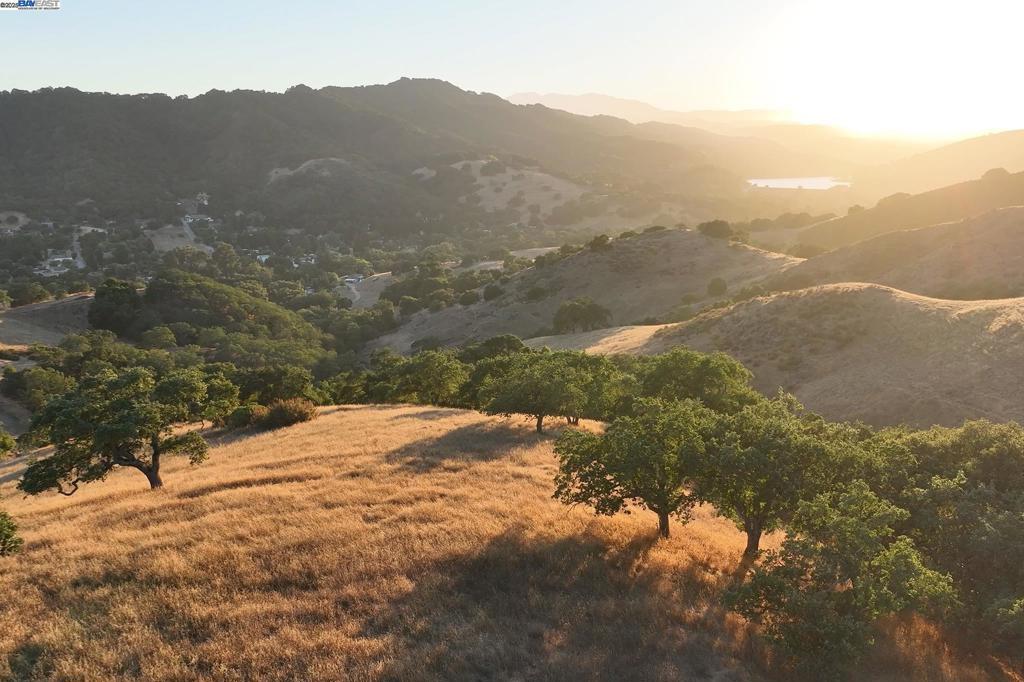 Photo of Listing #41106261