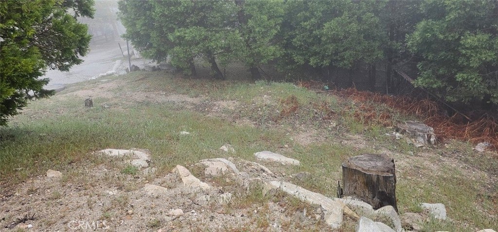 Photo of Listing #HD25168756