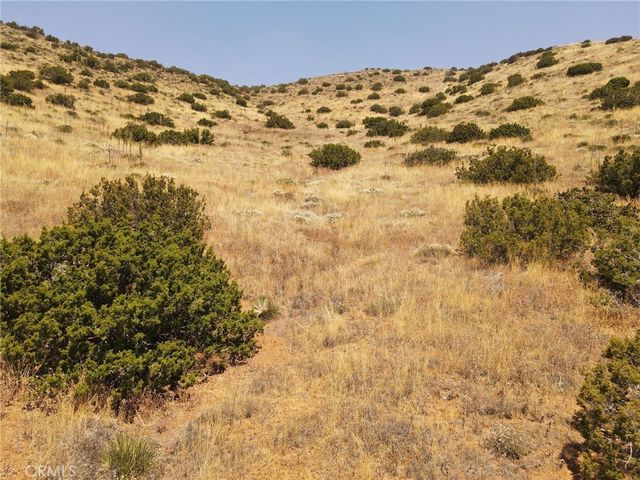 Valleysage Road, Agua Dulce