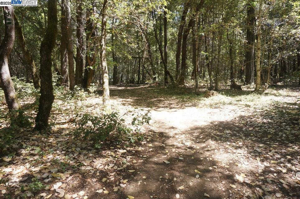 Photo of Listing #41106351