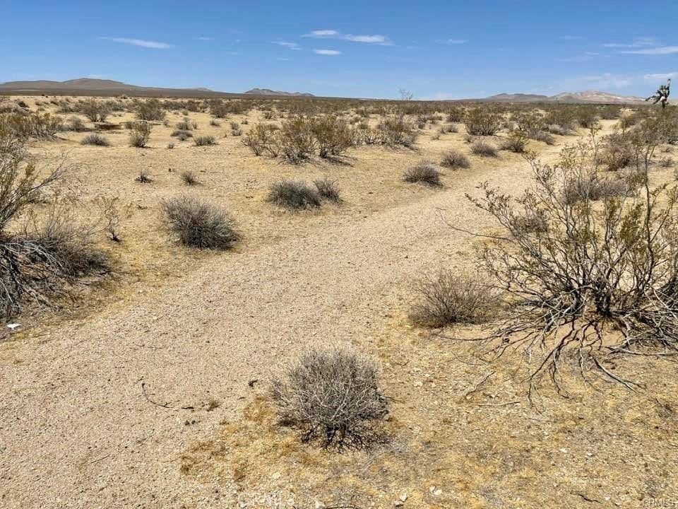 Photo of Listing #HD25169950