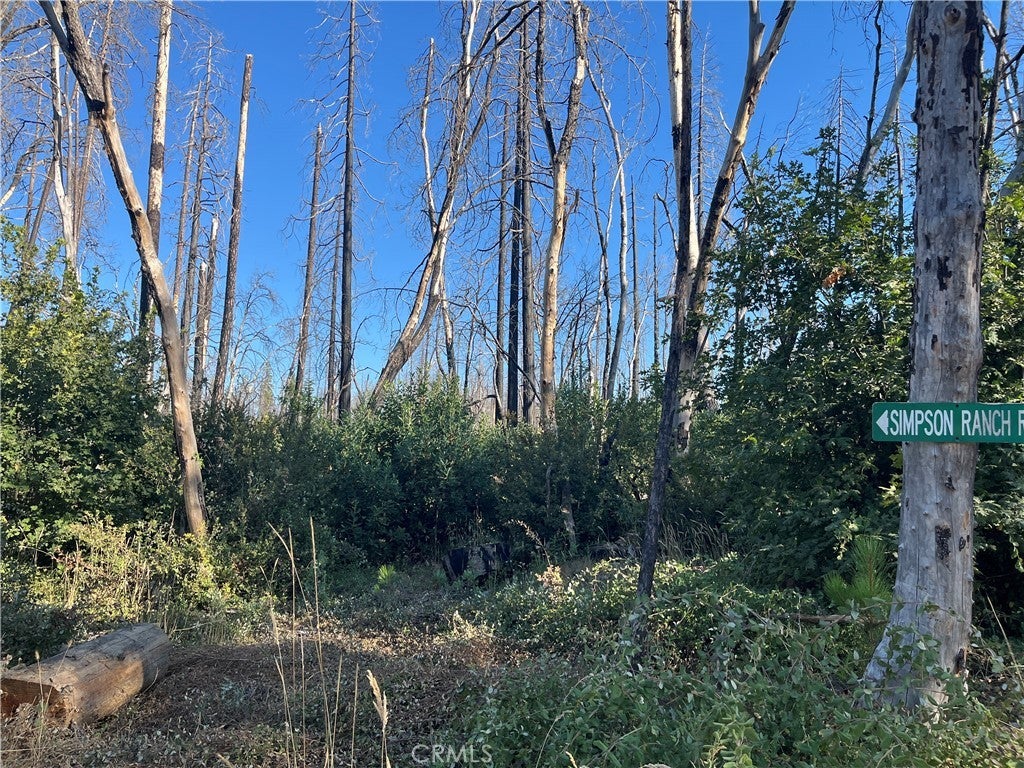 Photo of Listing #SN25170257