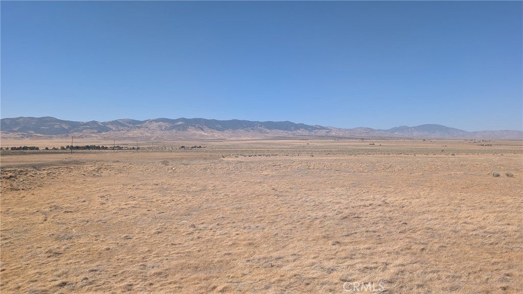 Photo of Listing #SR25169426