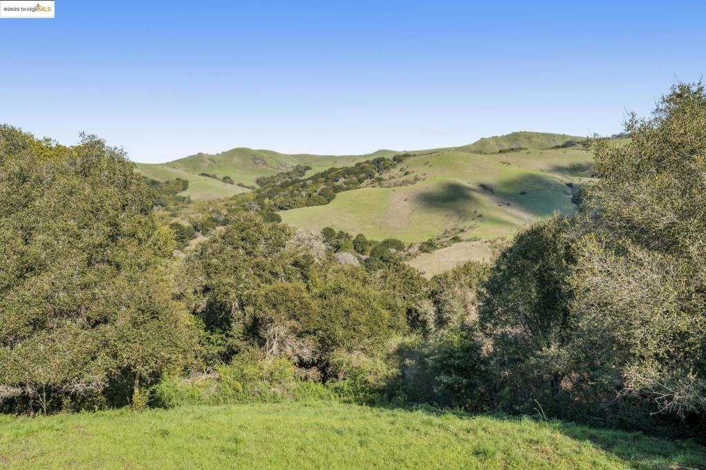 Photo of Listing #41106468