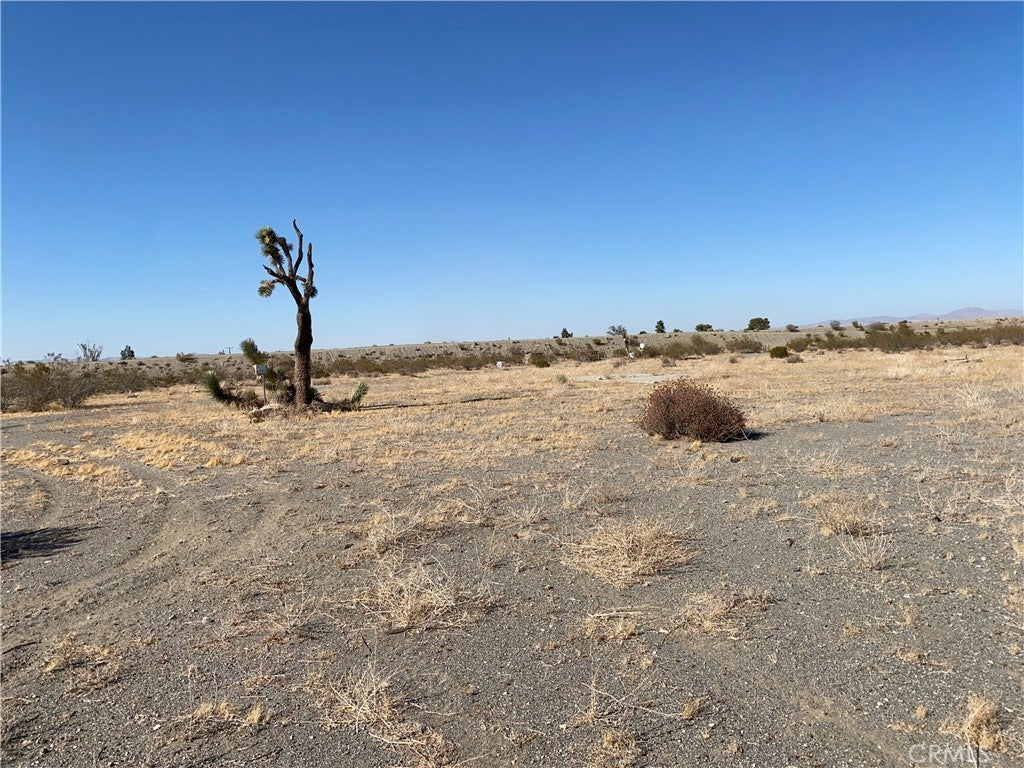 Photo of Listing #HD25170804