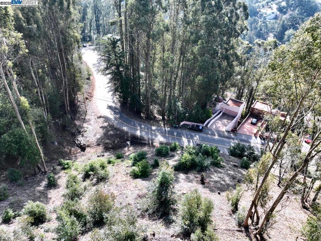 Photo of Listing #41106607