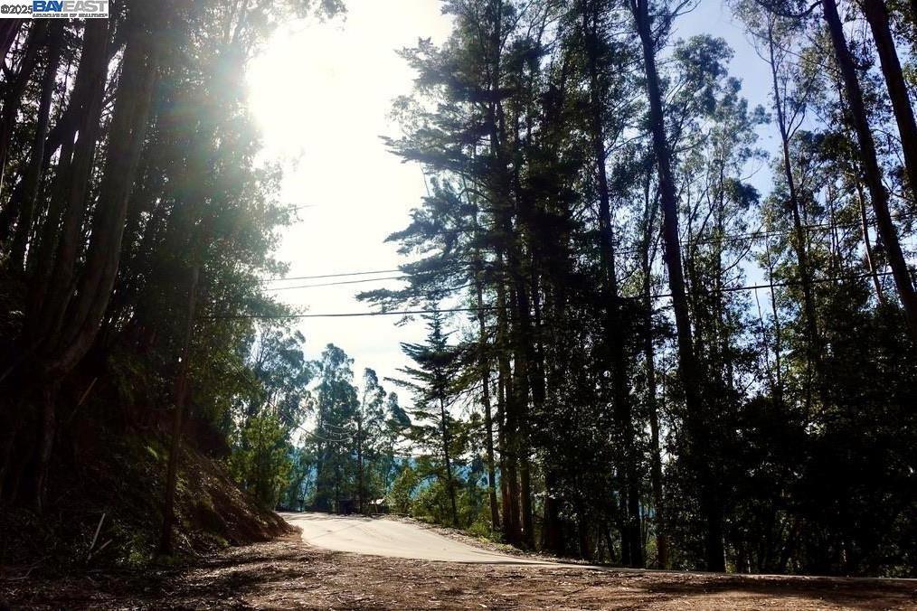 Photo of Listing #41106608