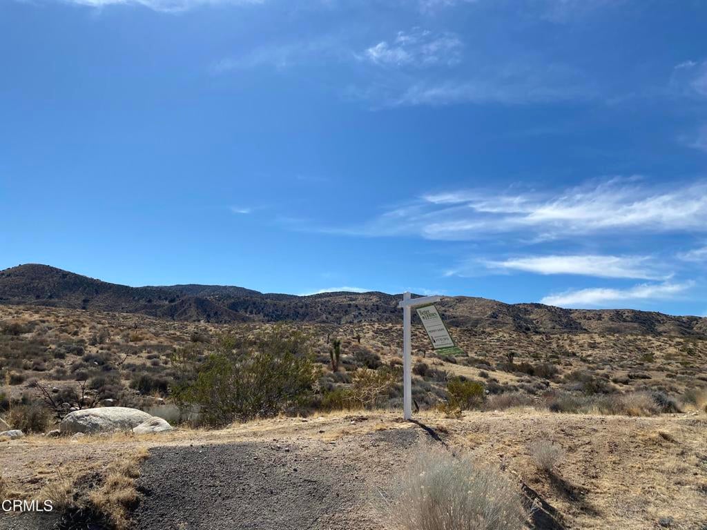 Photo of Listing #V1-31500