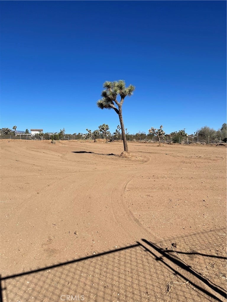 Photo of Listing #JT25174119