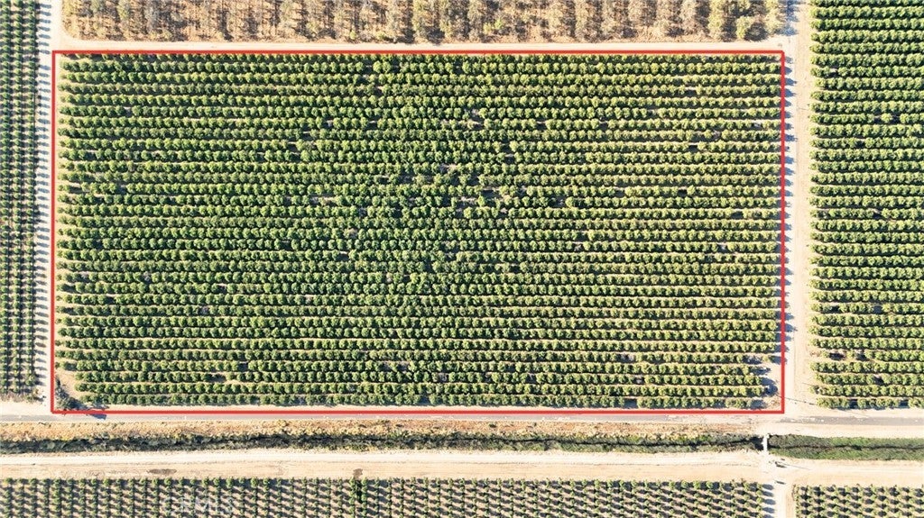 Photo of Listing #MC25174466