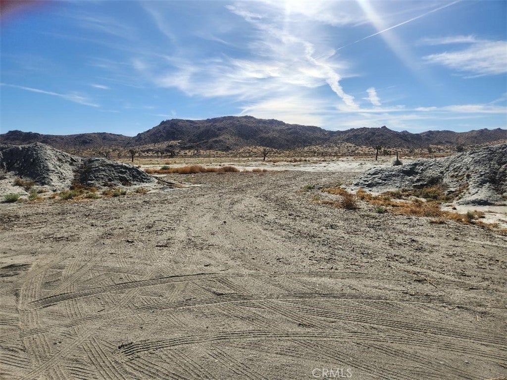 Photo of Listing #IV25174900