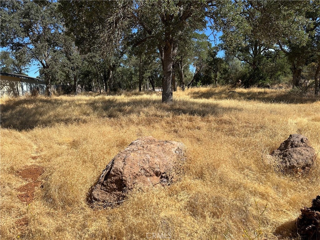 Photo of Listing #LC25174587