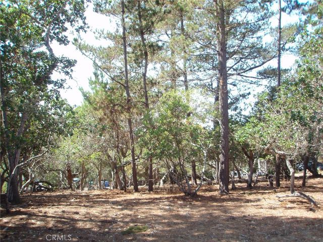 1865 Dreydon Avenue, Cambria