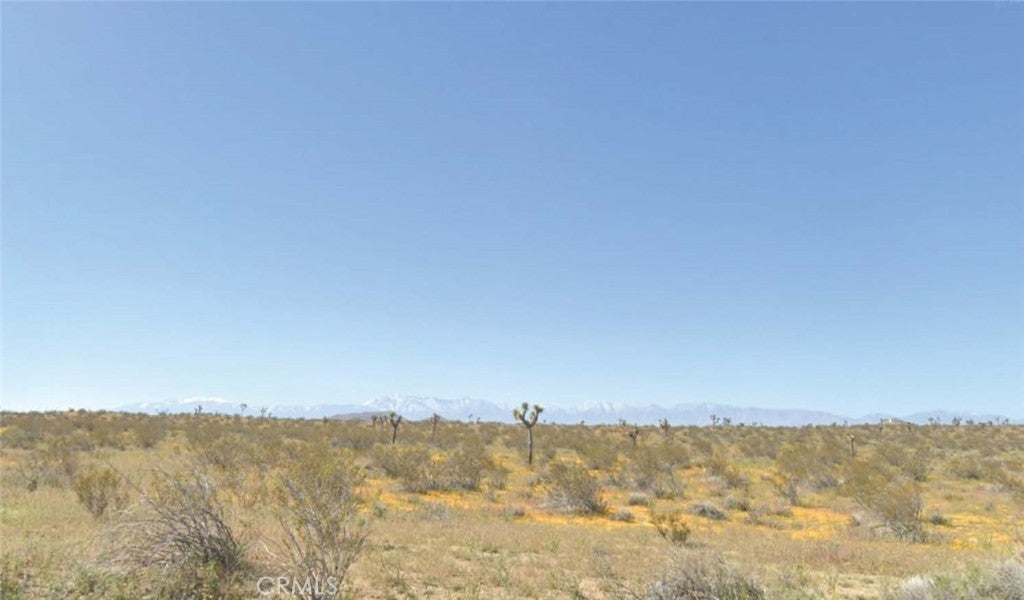 Photo of Listing #SR25176134