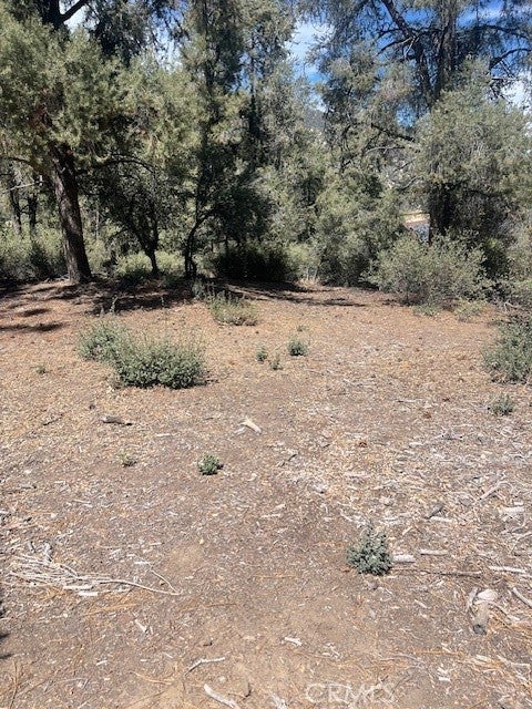 Photo of Listing #SR25176507