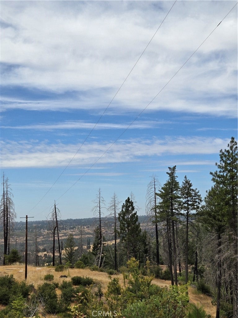 Photo of Listing #OR25177603