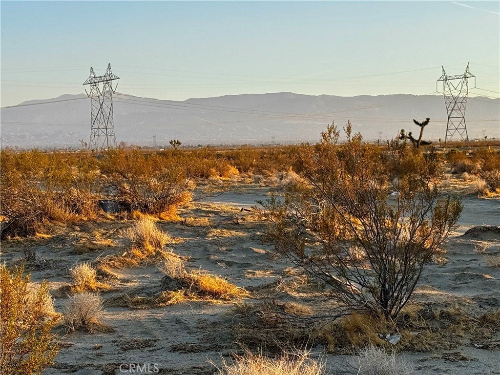 Photo of Listing #OC25179407