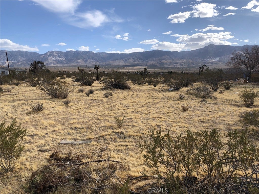 Photo of Listing #IV25178564