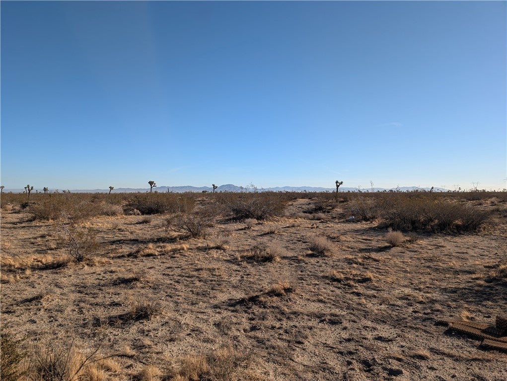 Photo of Listing #HD25177977