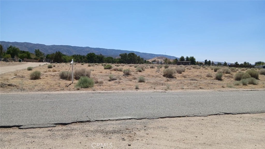 Photo of Listing #SR25180619