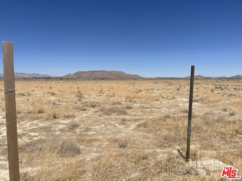 Photo of Listing #25577065