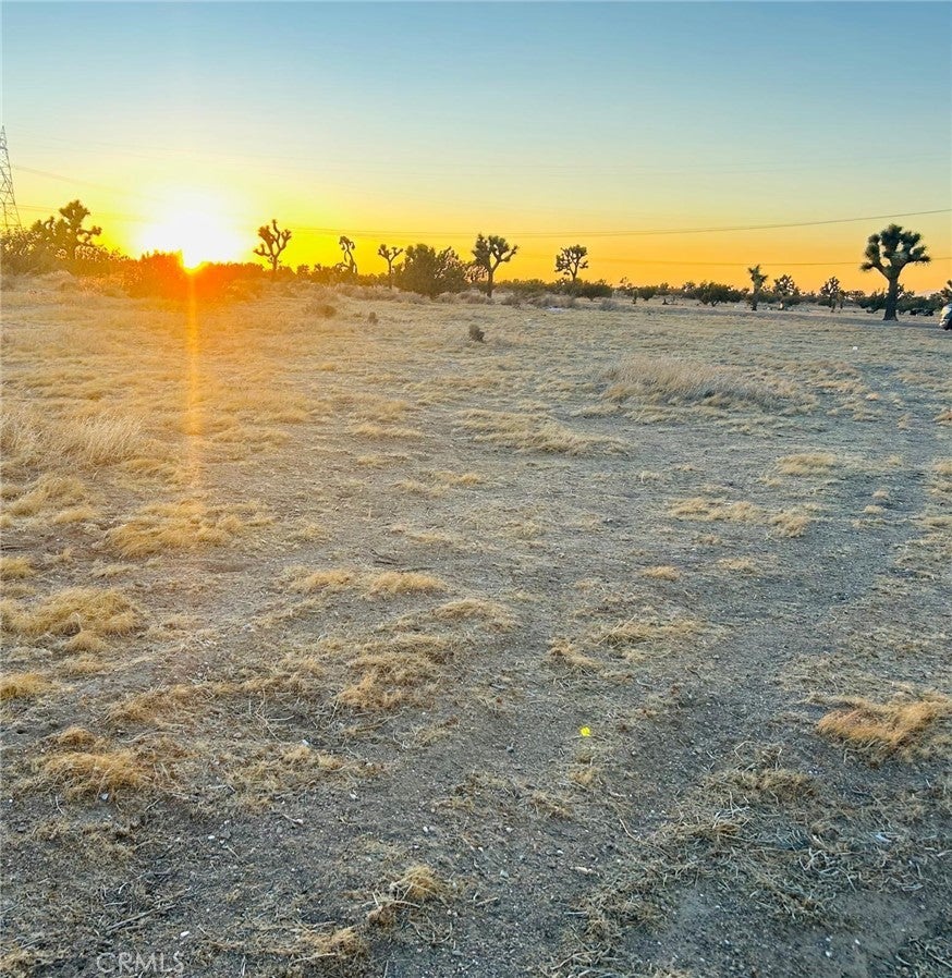 Photo of Listing #HD25181410