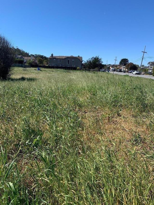 Magnolia Street, Half Moon Bay