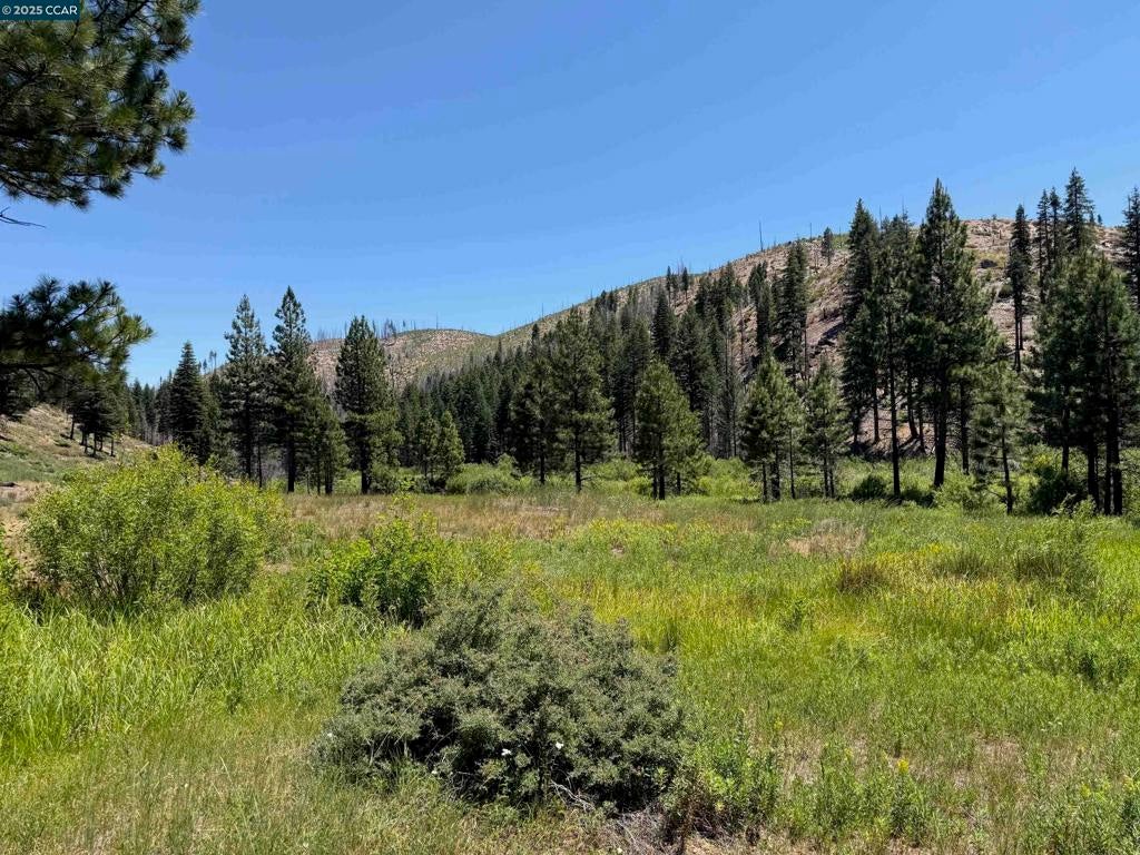 Photo of Listing #41107989