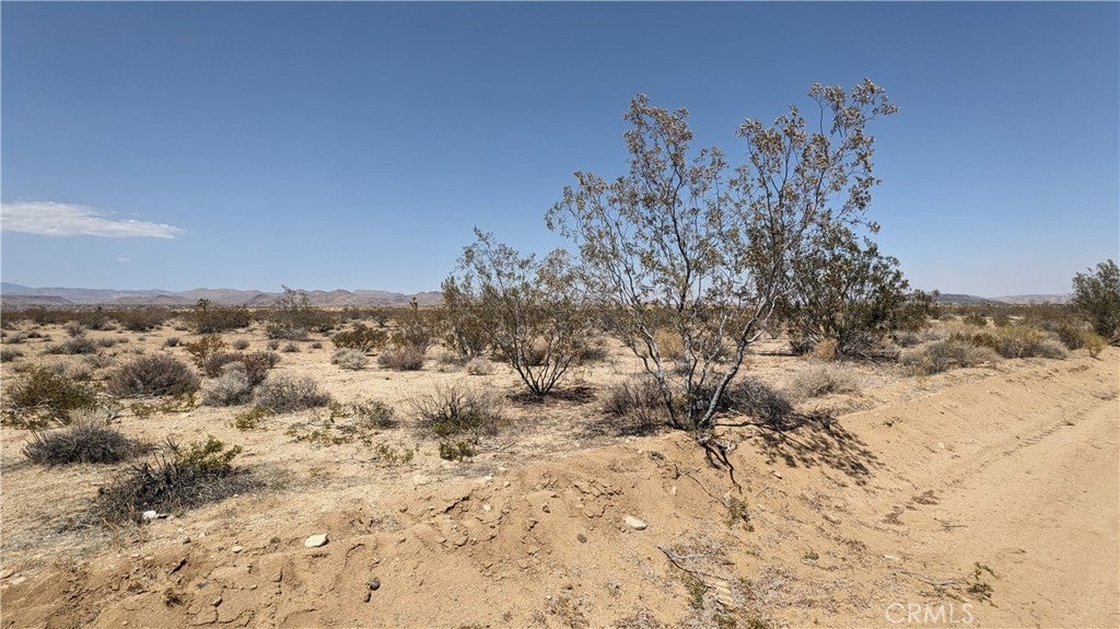 Photo of Listing #IG25183415