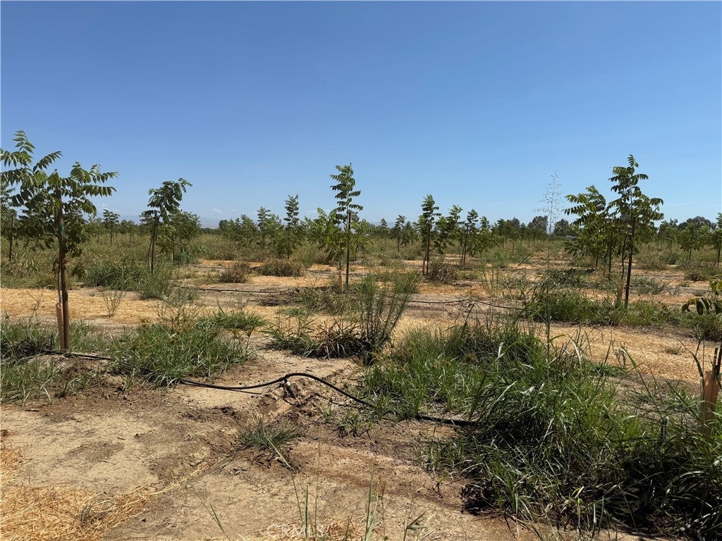 Photo of Listing #SN25184944