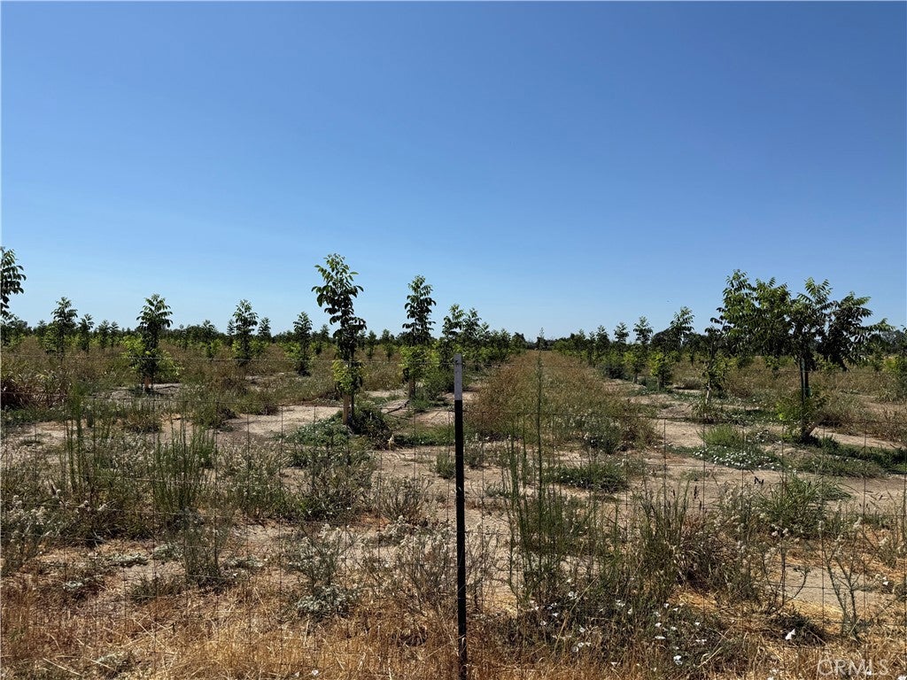 Photo of Listing #SN25184964