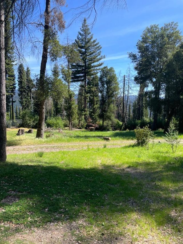 500 Wildberry Drive, Boulder Creek