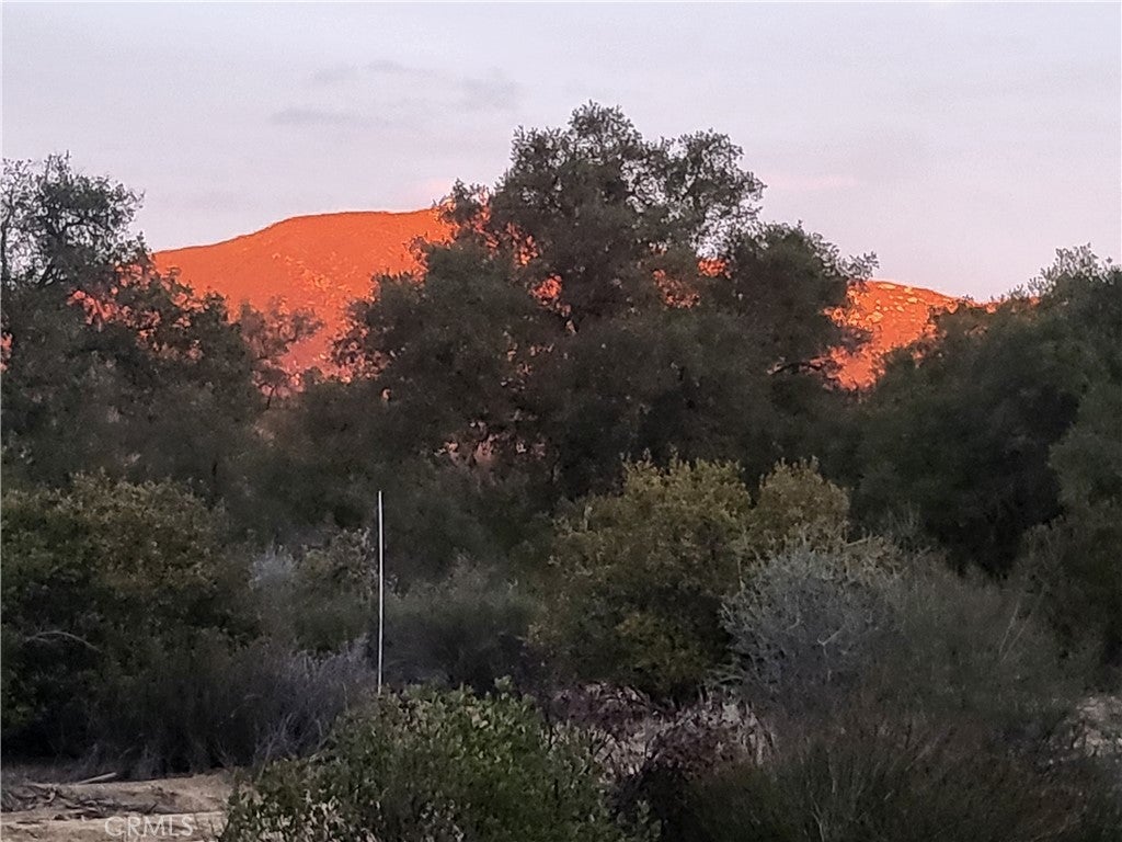 Photo of Listing #SW25185082