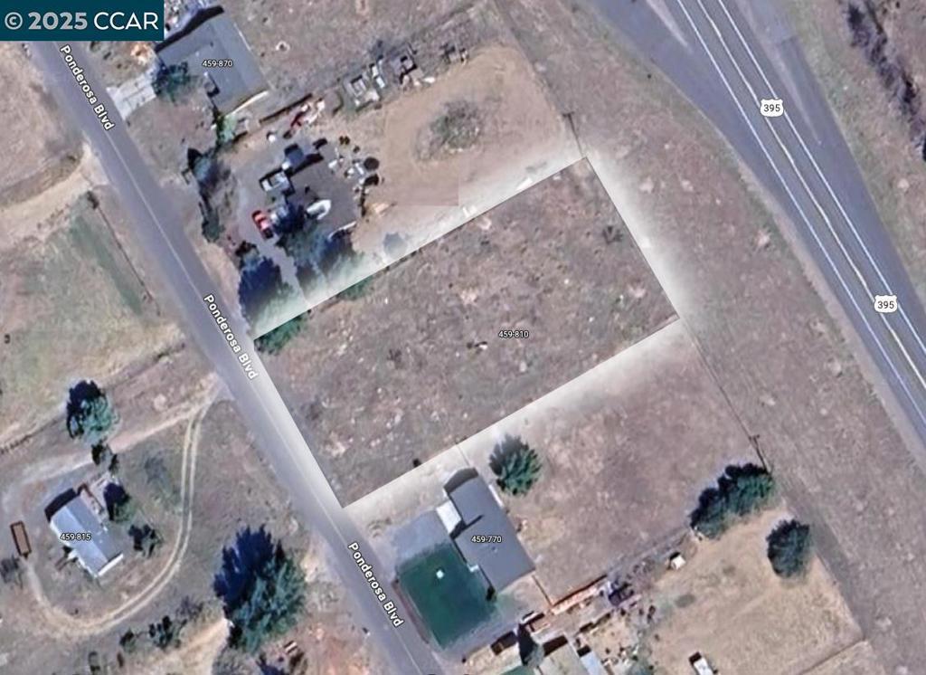 Photo of Listing #41108465