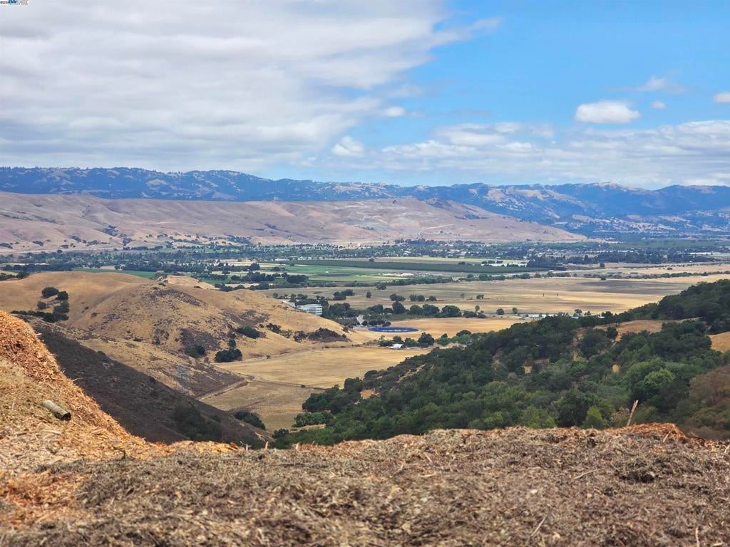 Photo of Listing #41108500