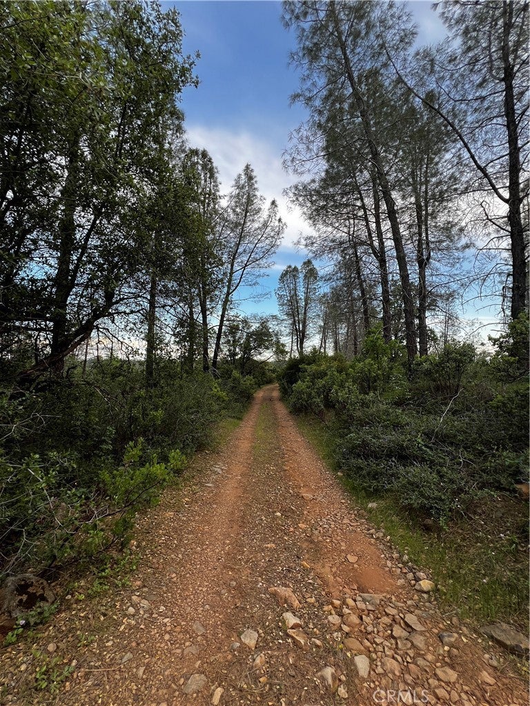 Donkey Mine Road, Oak Run
