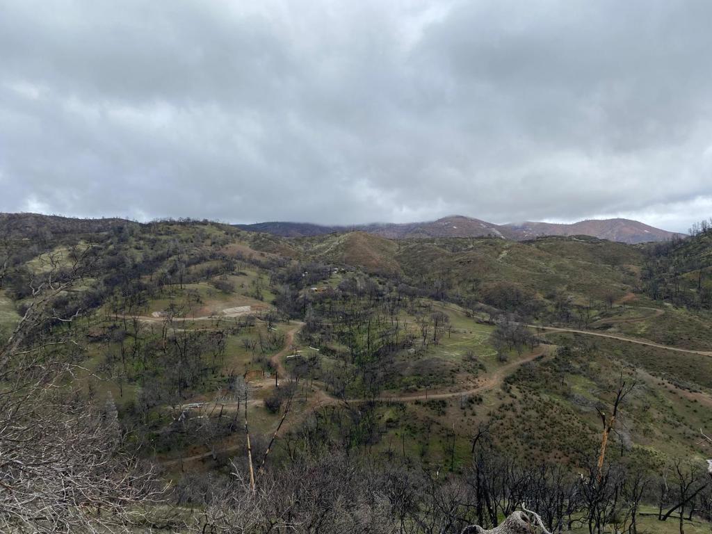 Photo of Listing #ML82018445